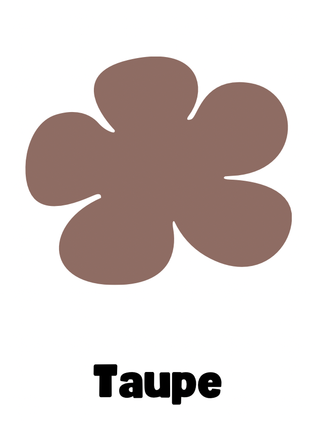 Pampilles flora taupe