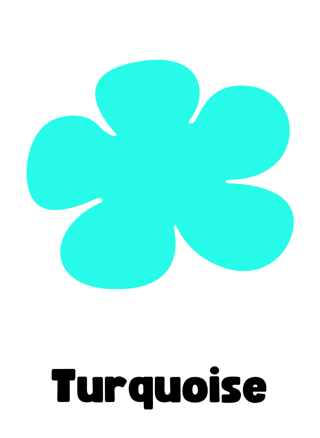 Pampilles rosa turquoise