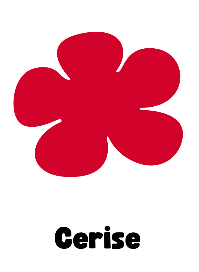 Pampilles flora cerise