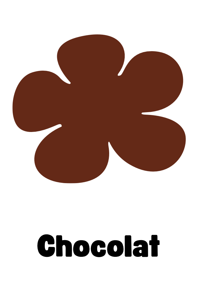 Pampilles flora chocolat