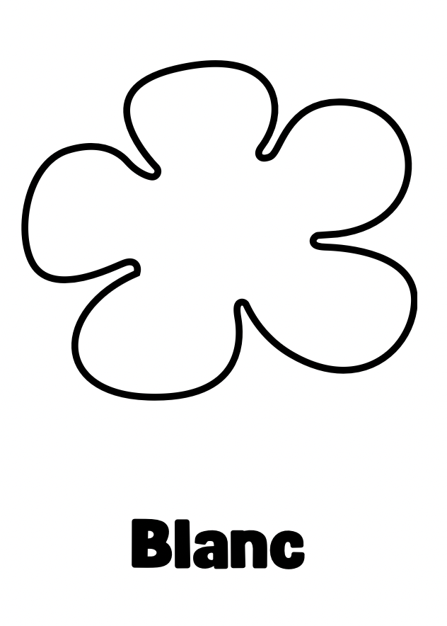 Pampilles flora blanc