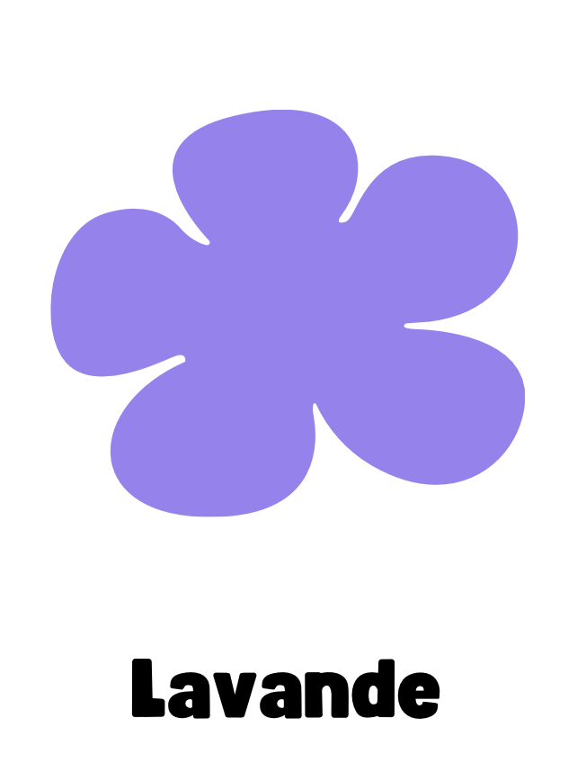 Pampilles rosa violet lavande